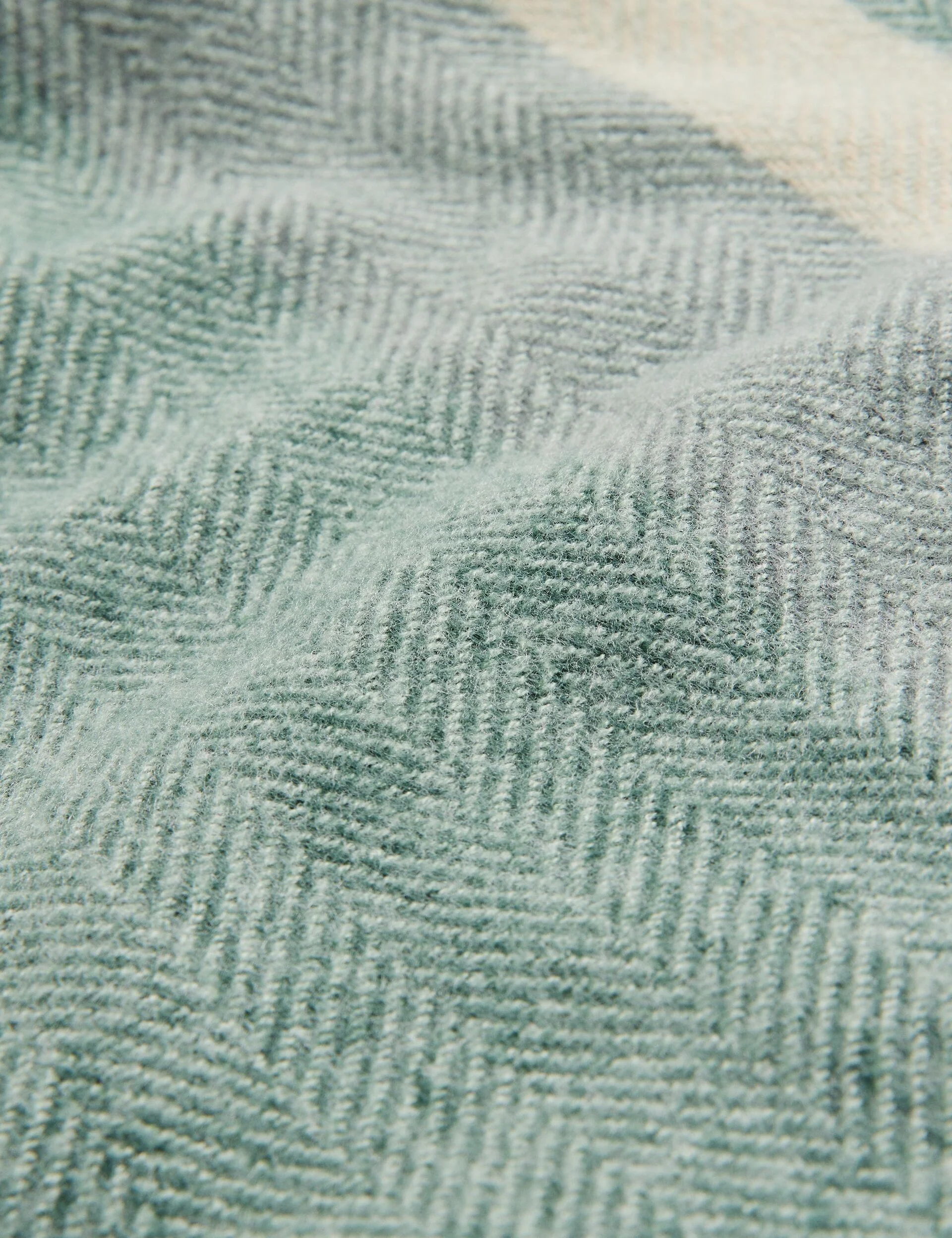 ALFREDY | DARK GREEN - Image 3