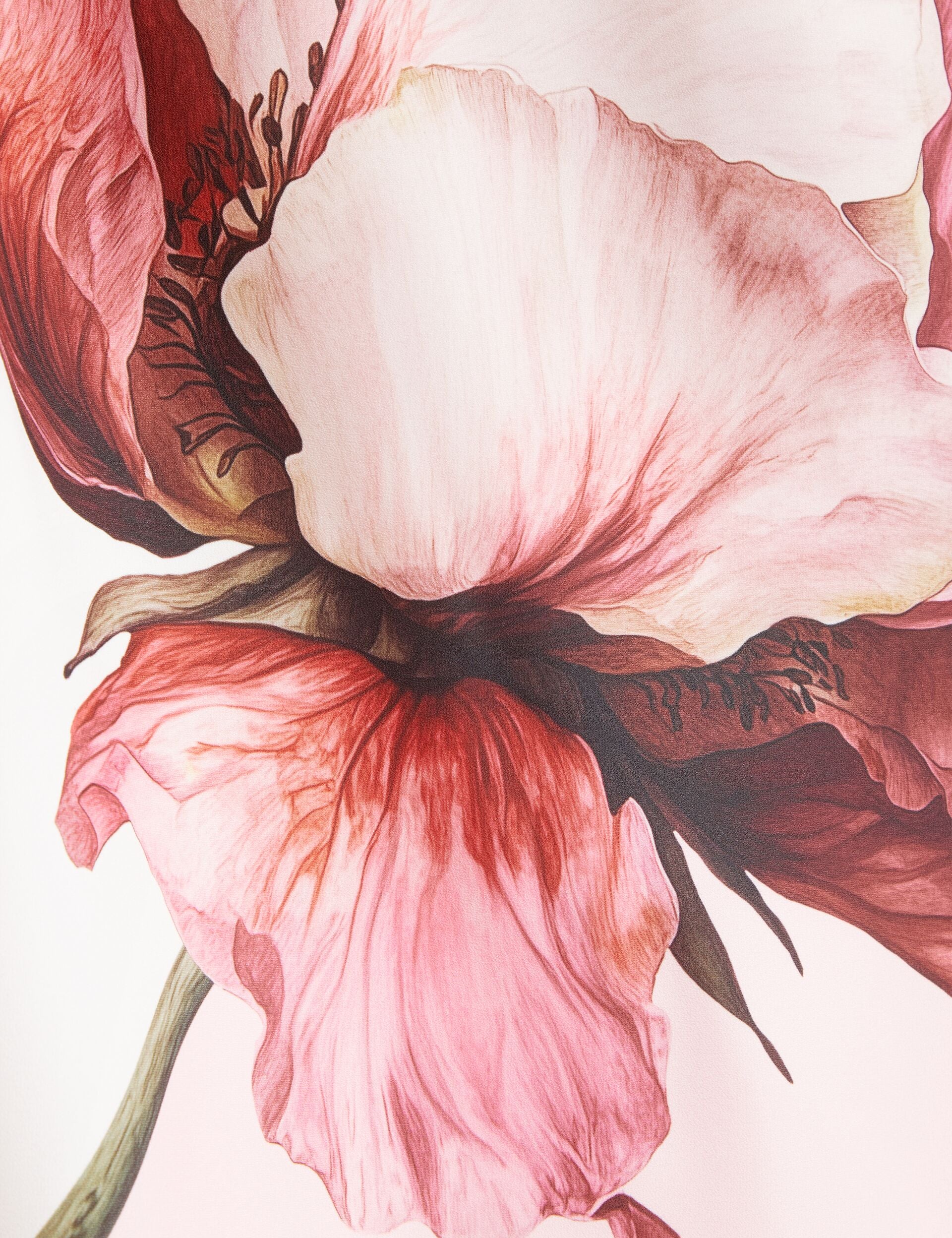 BROSA | PINK - Image 4