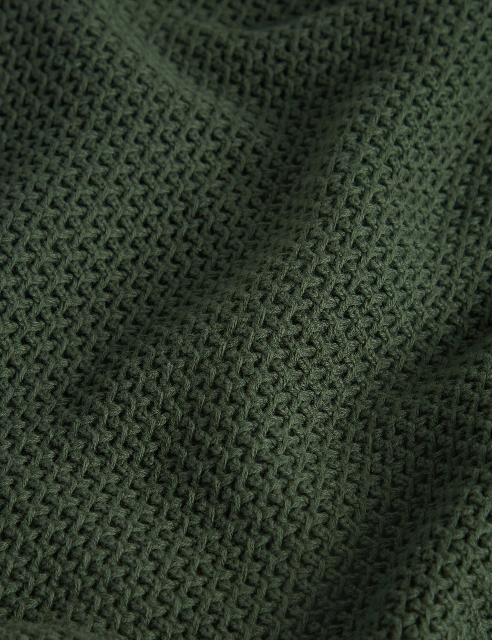 BRUCEI | DARK GREEN - Image 4