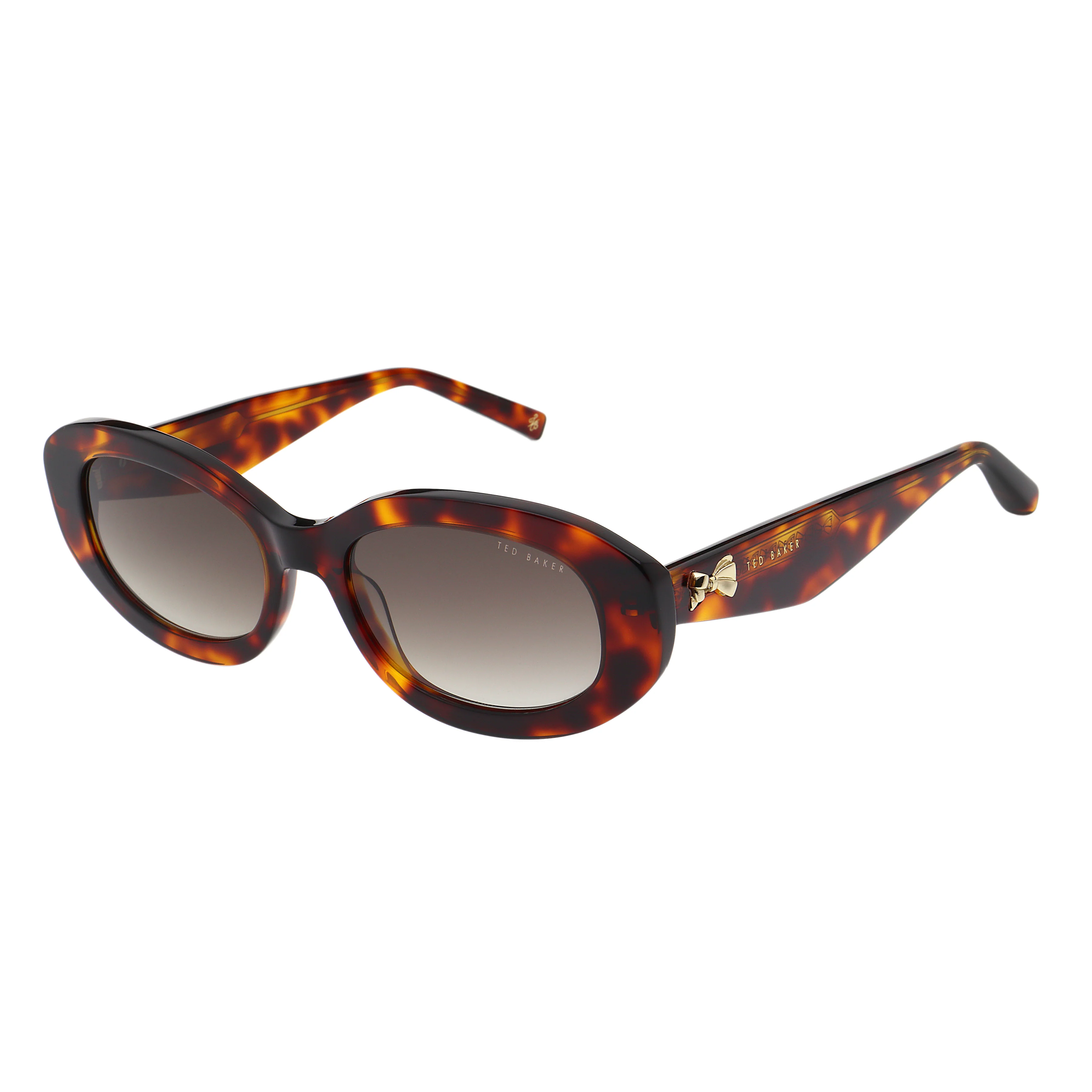 DAISIE | TORTOISESHELL - Image 2