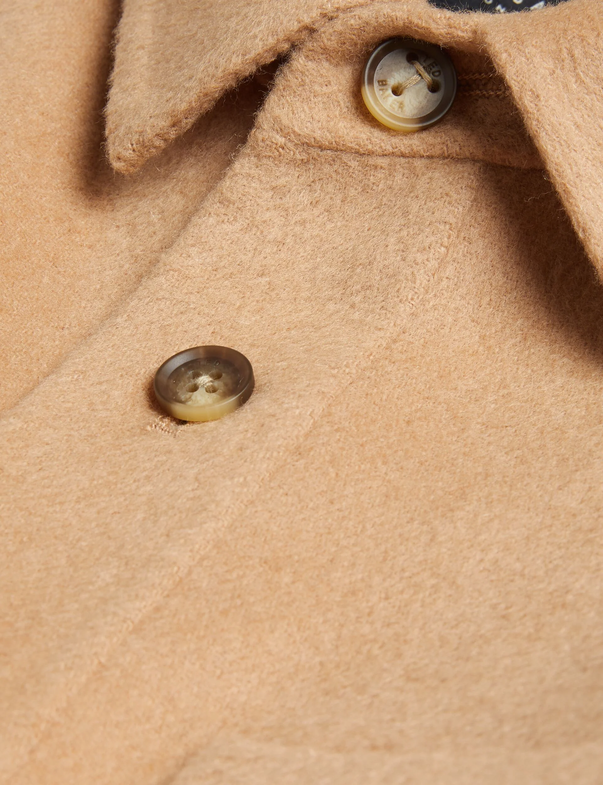 DALCH | TAN - Image 3