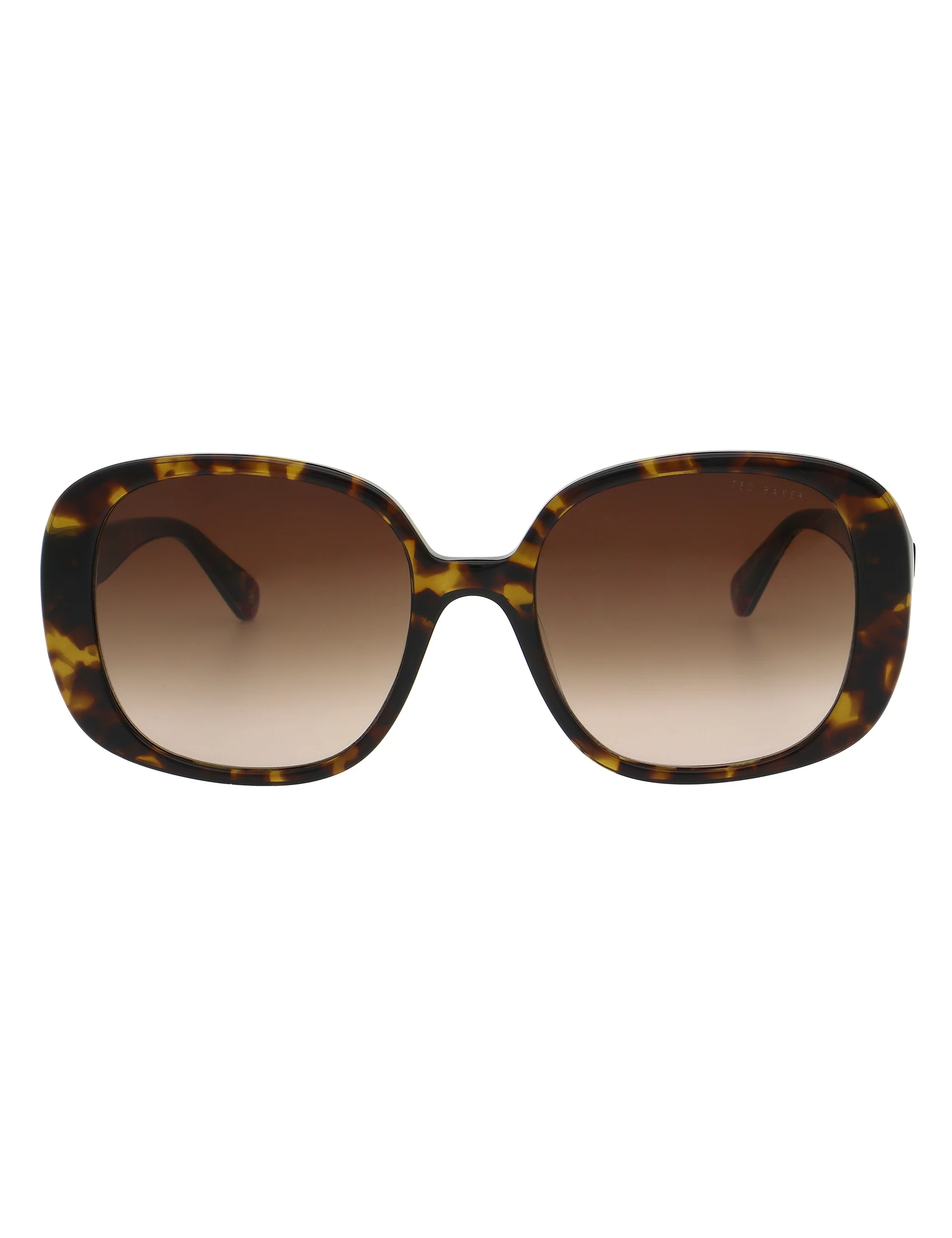 EMILIACT | TORTOISESHELL - Image 3