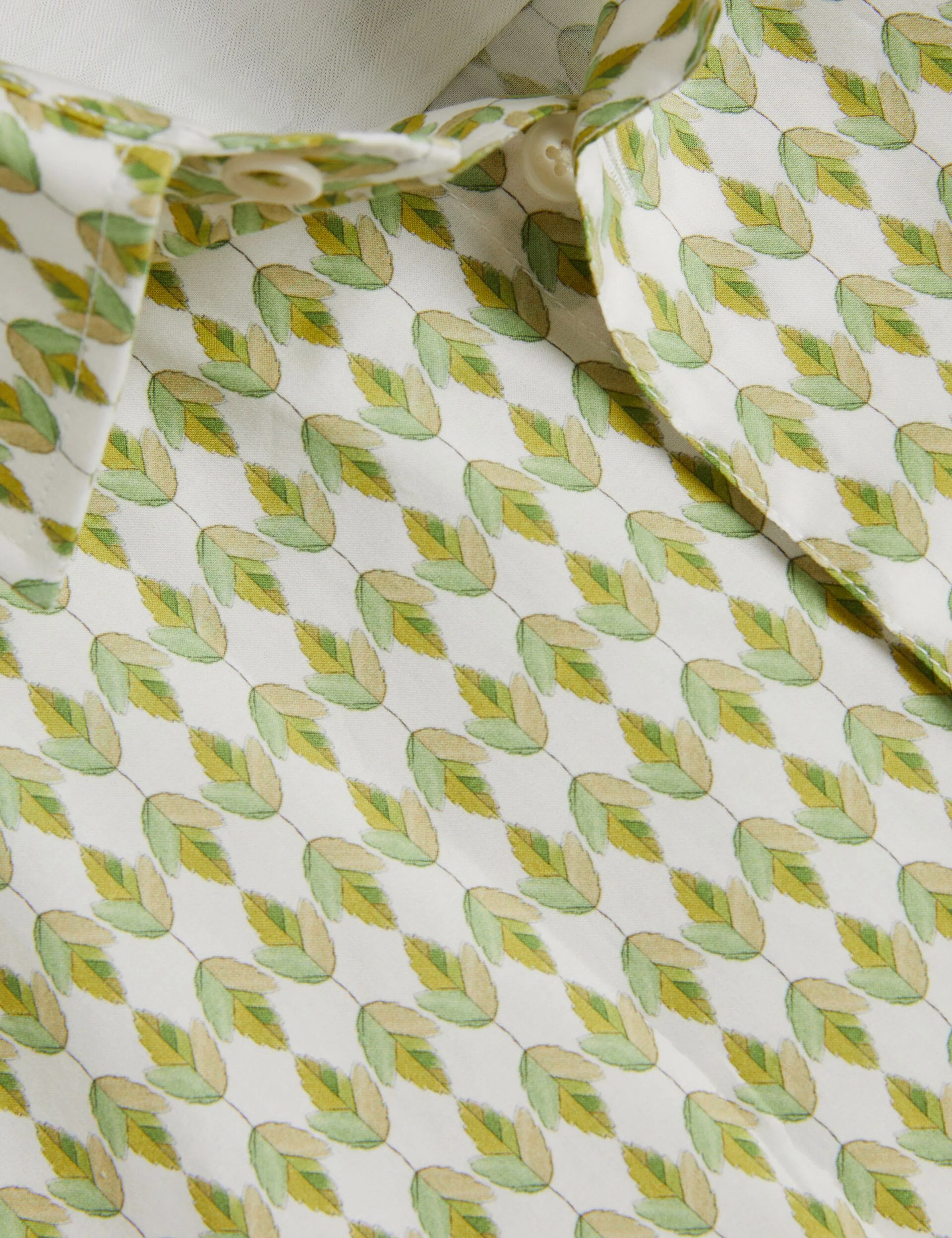 FURBO | OLIVE - Image 3