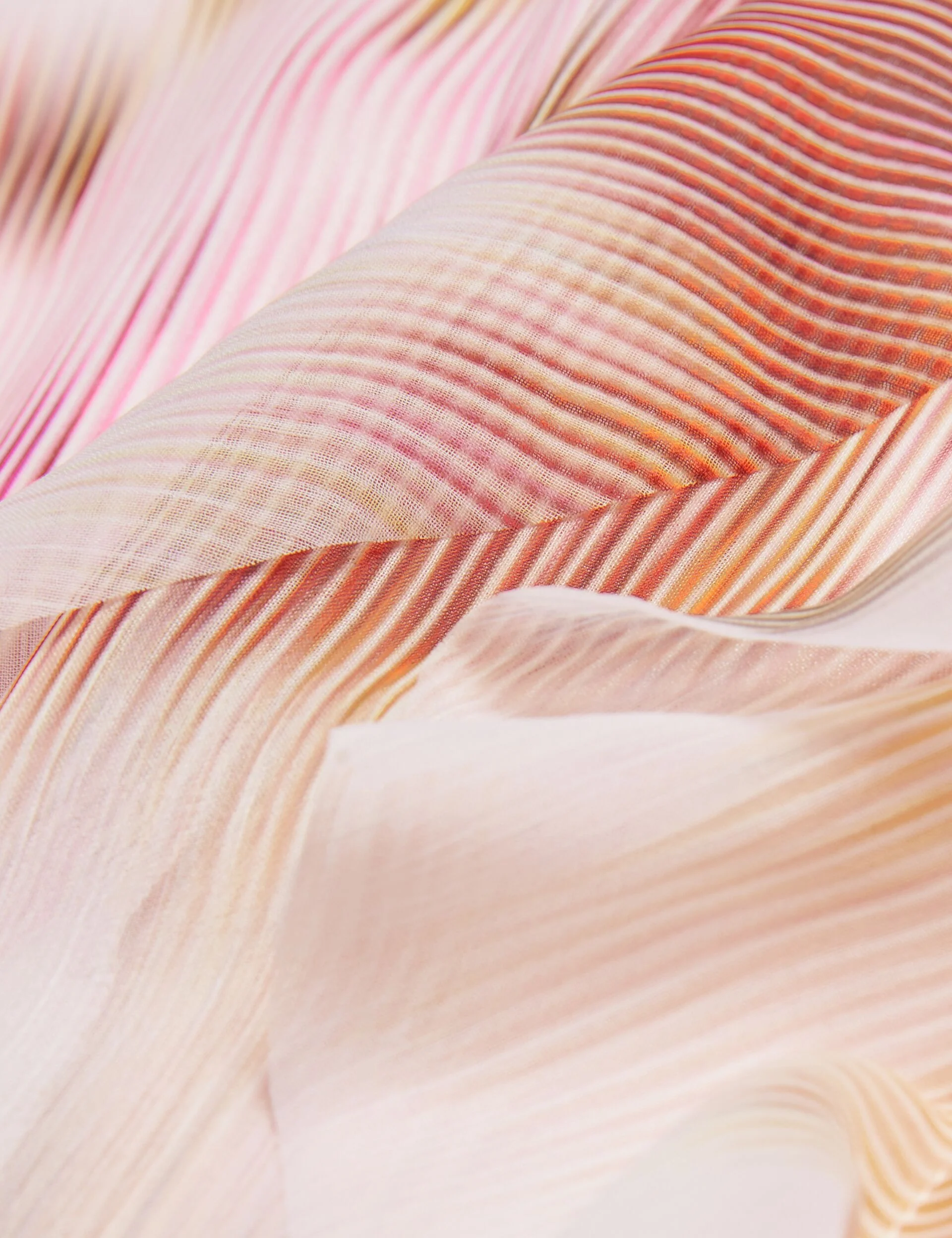 HISAKO | LIGHT PINK - Image 5