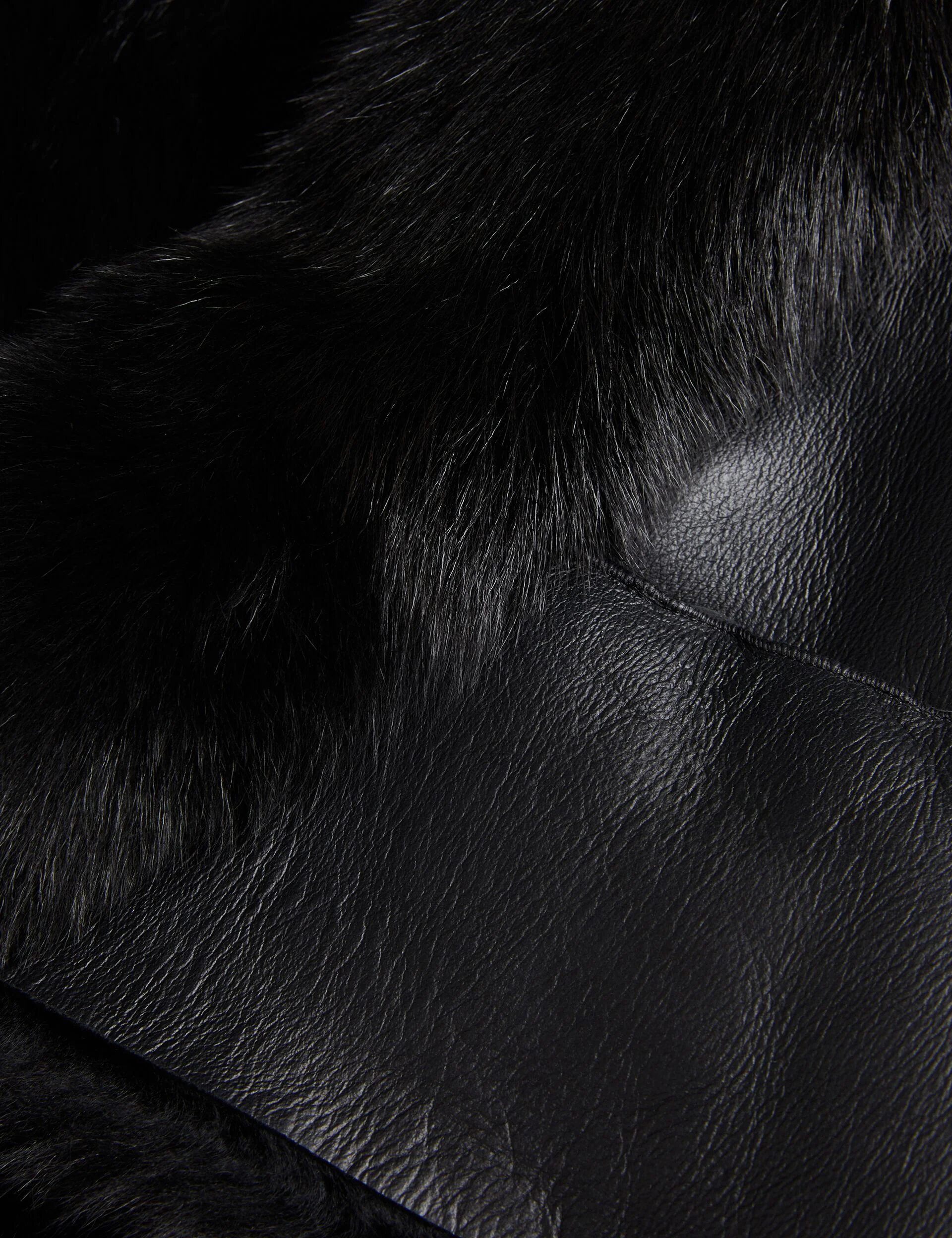 LAEVI | BLACK - Image 2