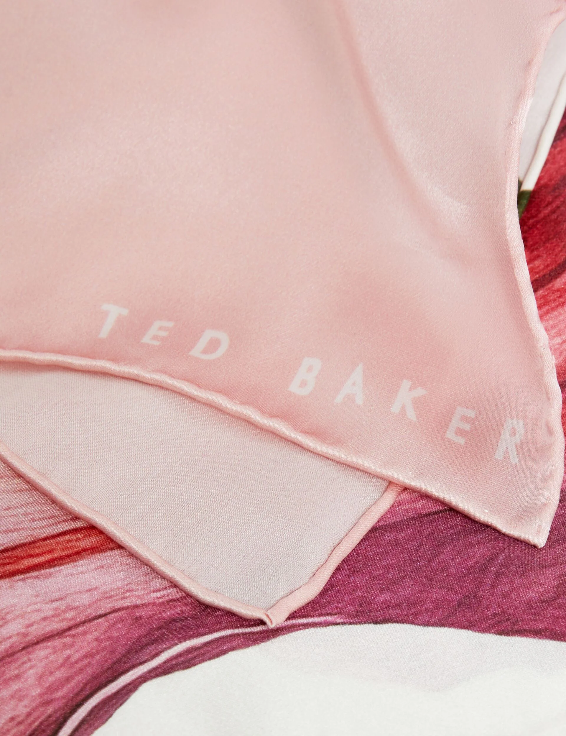 LISAAE | LIGHT PINK - Image 4