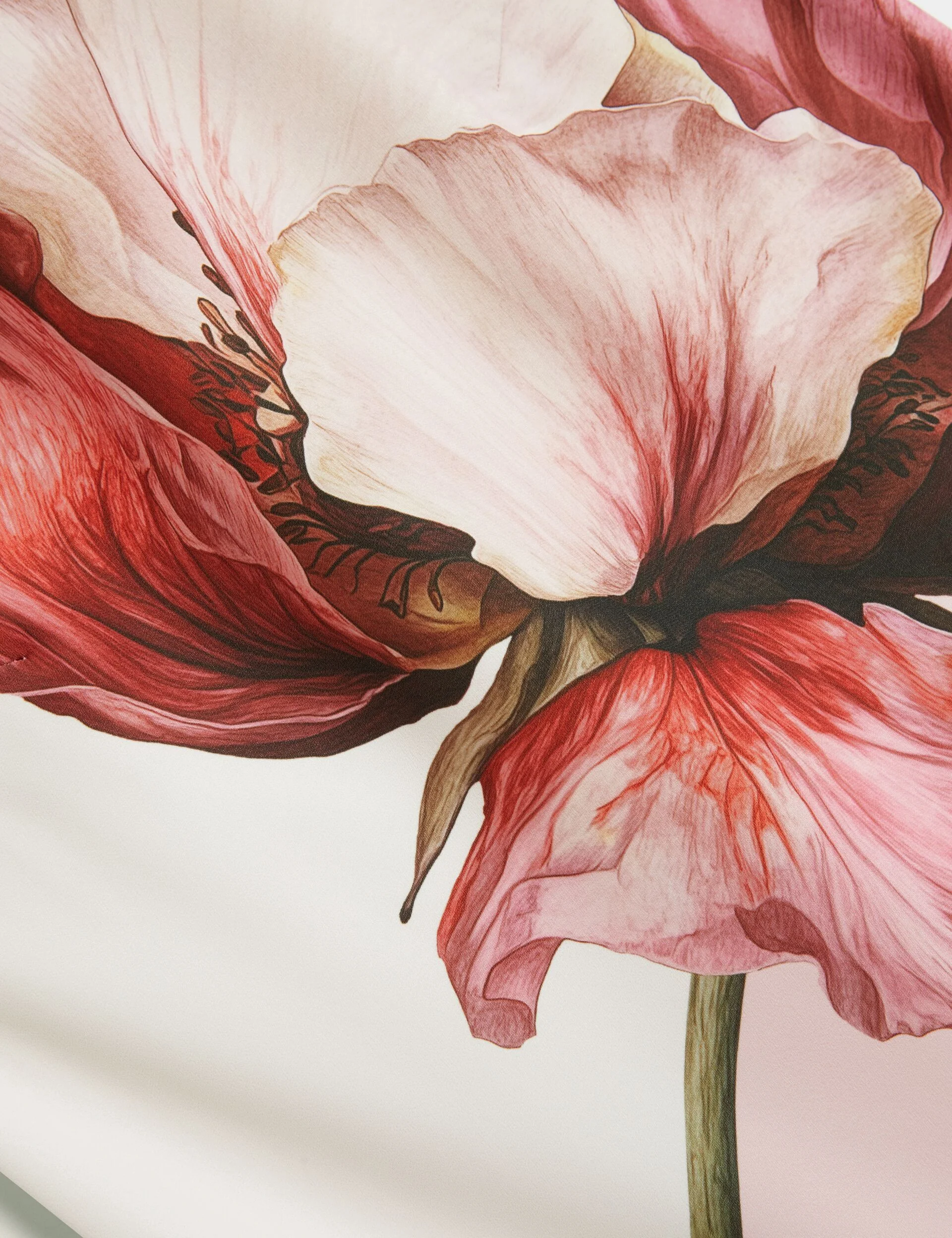 LOWELA | LIGHT PINK - Image 4