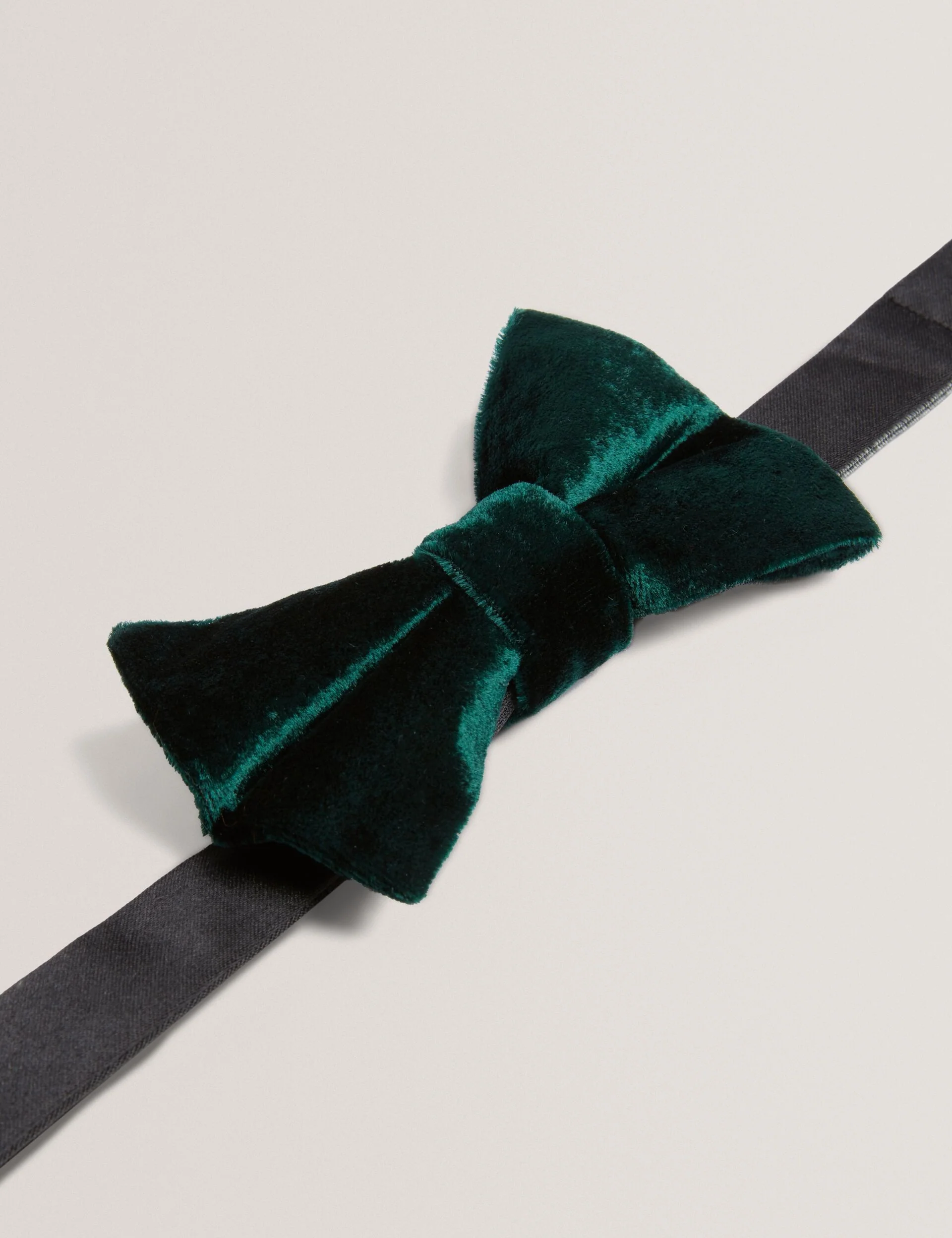 SANZIO | DARK GREEN - Image 3