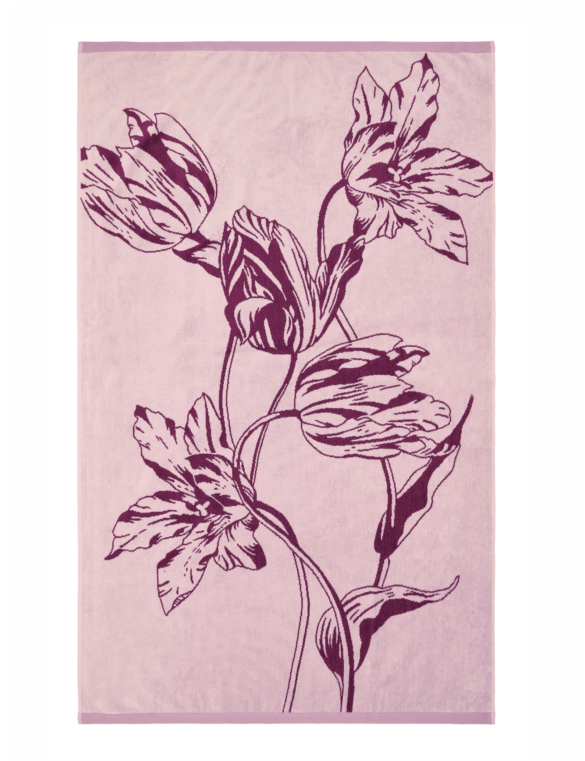 TULIPHT | LIGHT PINK