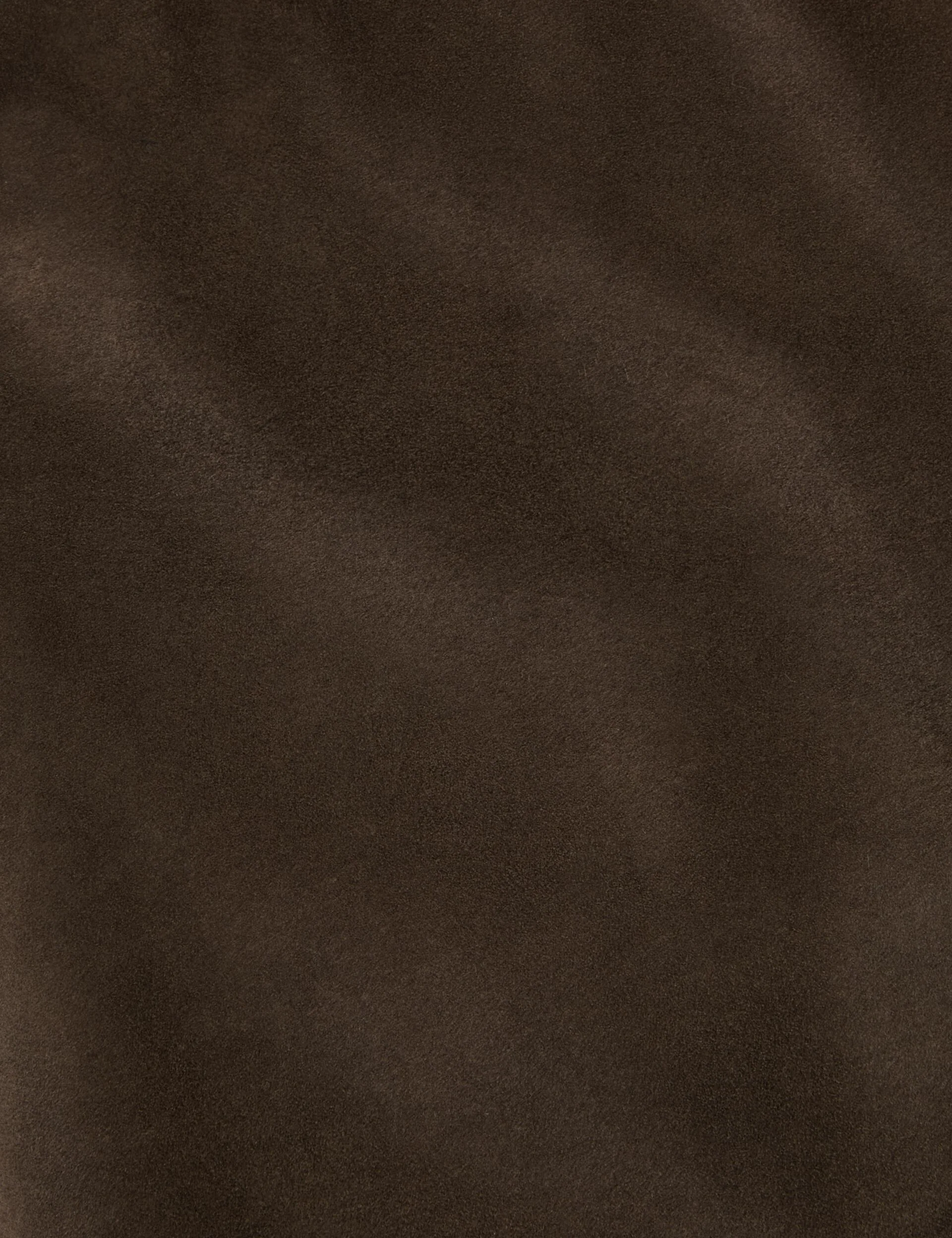 WALLY |  OLIVE - Image 3