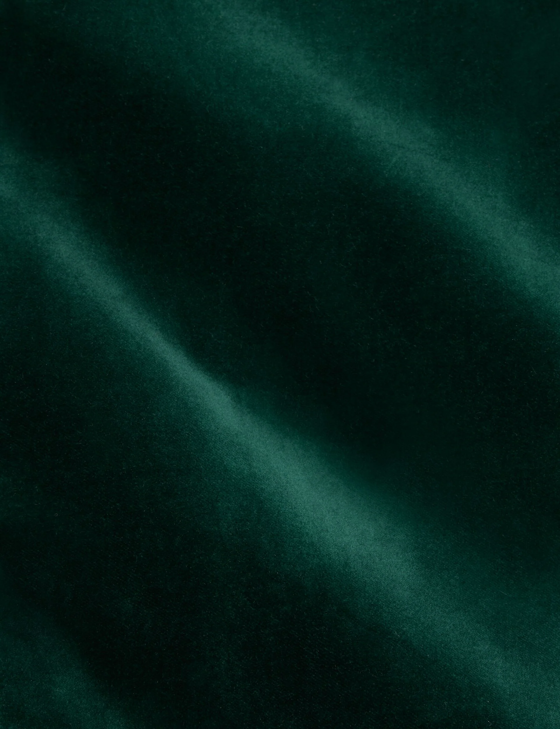 WEBSTER | DARK GREEN - Image 3