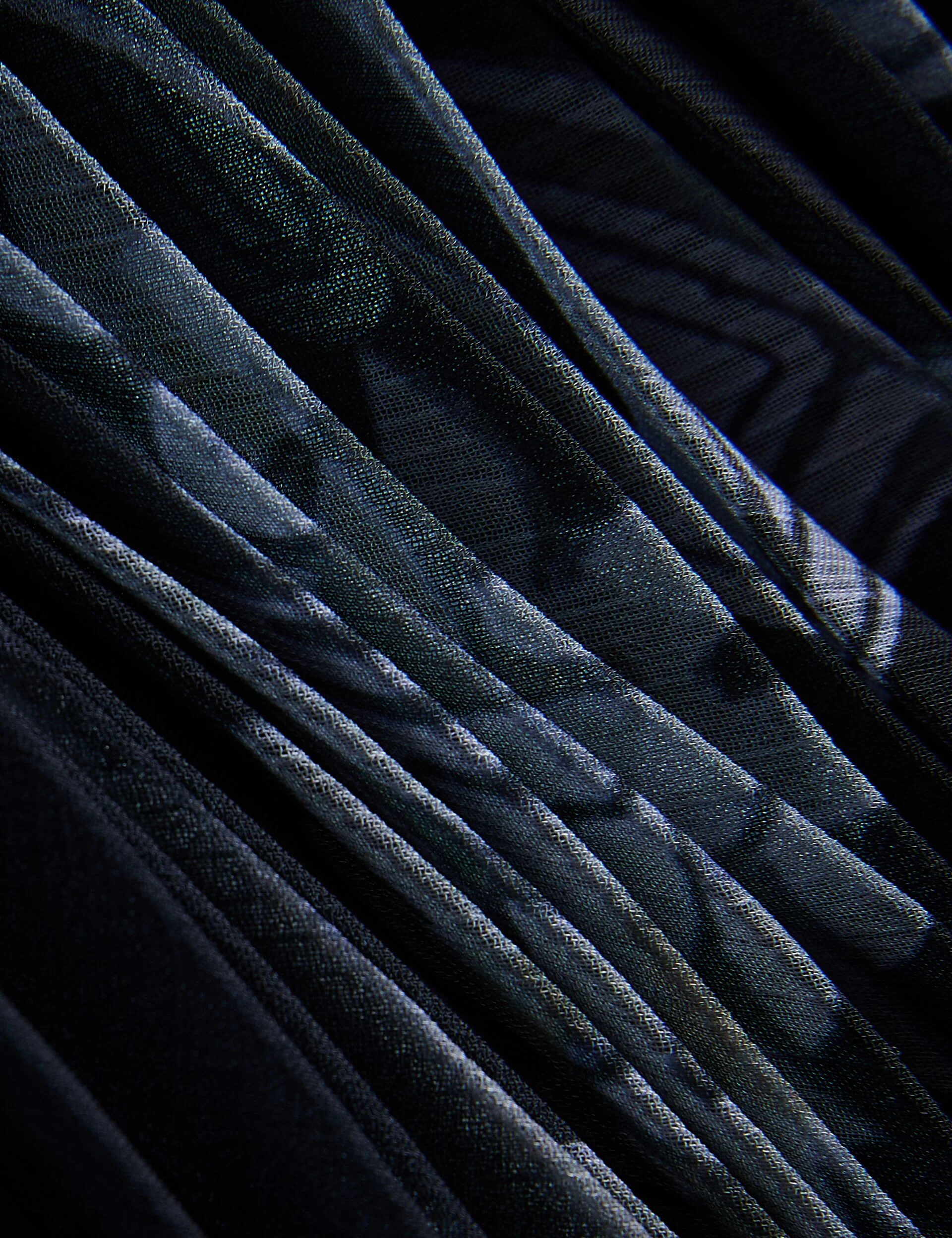 WHITNII | BLUE - Image 3